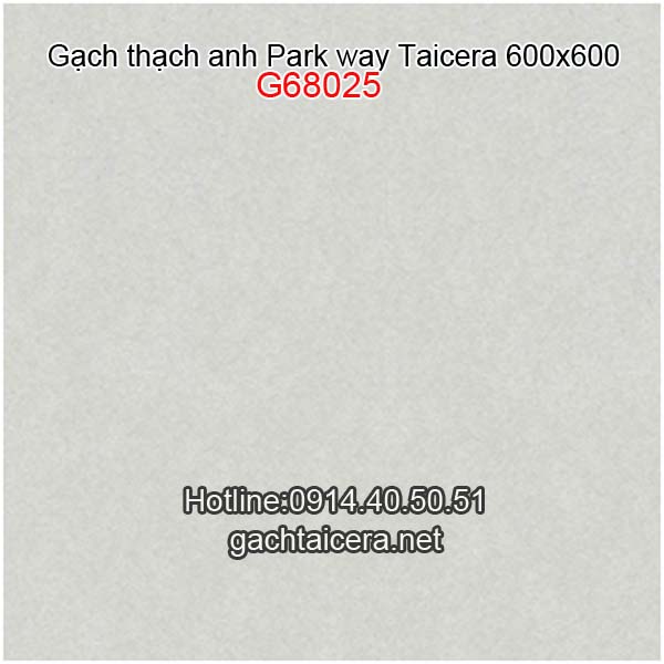 Gạch Taicera granite 60x60 G68025