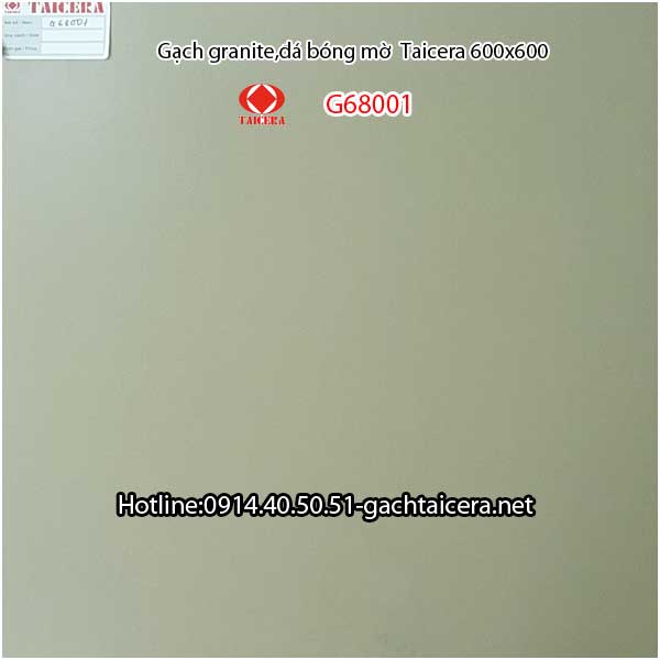 Đá bóng mờ Taicera 60x60 G68001