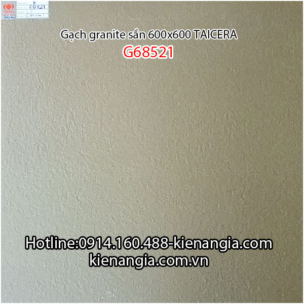 Gạch granite Taicera sần 60x60 Taicera-G68521