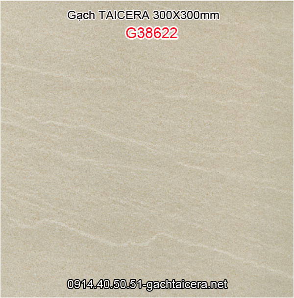 Gạch TAICERA 30x30 Taicera-G38622