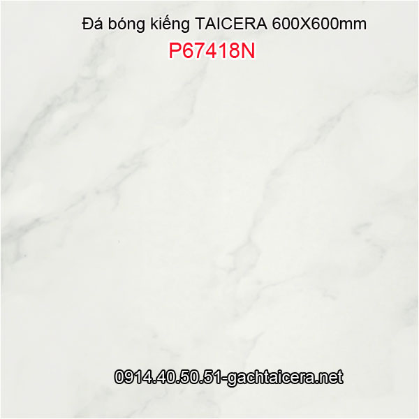 Đá bóng kiếng 60x60 TAICERA-P67418N