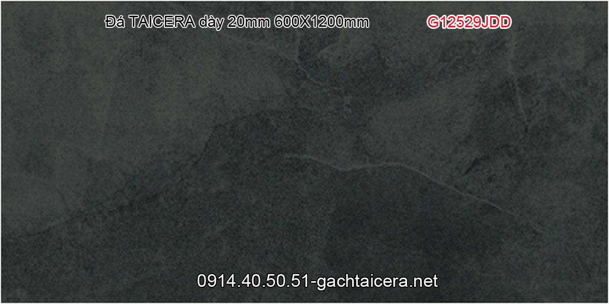 Gạch Taicera dày 20mm 600x1200 Taicera-G12529JDD