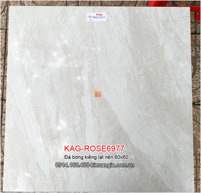 Đá bóng kiếng lát nền 60x60 KAG-ROSE6977