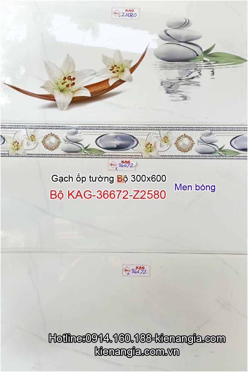 Gạch ốp tường nhà cho thuê 30x60 Bộ KAG-36672-Z2580