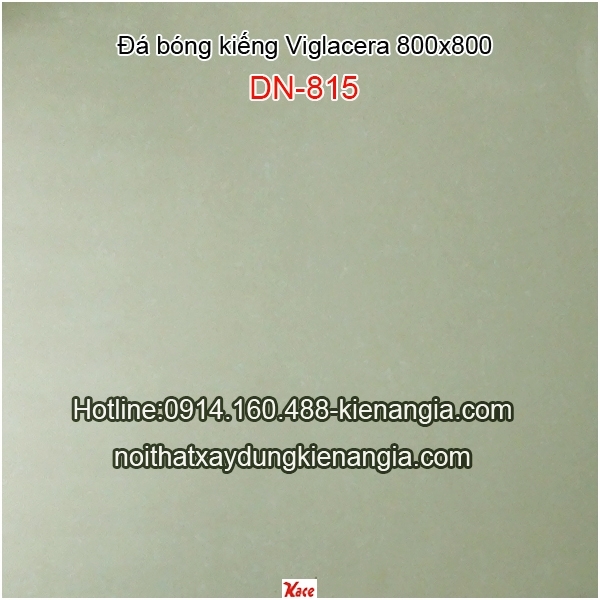 Đá bóng kiếng 800x800 Viglacera DN815