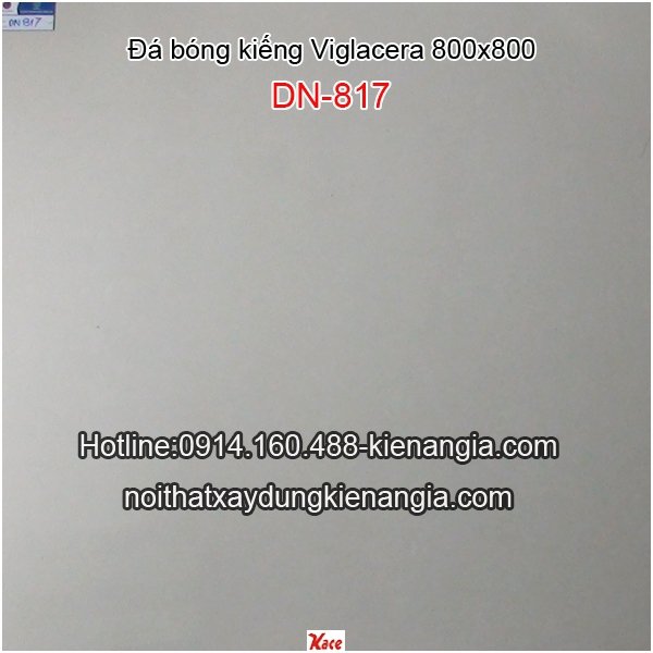 Đá bóng kiếng 800x800 Viglacera DN817