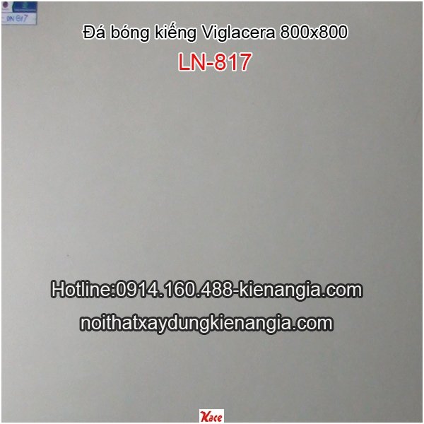 Đá bóng kiếng 800x800 Viglacera DN817