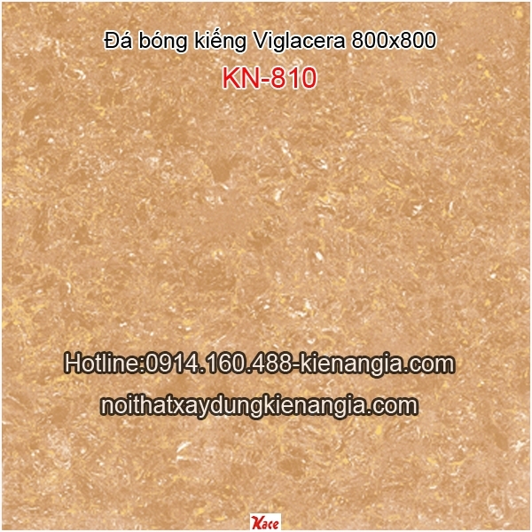 Đá bóng kiếng Viglacera 800x800 KN-810