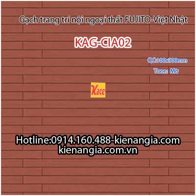 Gạch trang trí cao cấp mờ 100x300 FUJITO KAG-CIA02