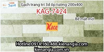 Gạch 3d mờ trang trí ốp tường 200x400KAG-7424