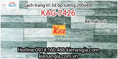 Gạch 3d mờ trang trí ốp tường 20x40 KAG-7426