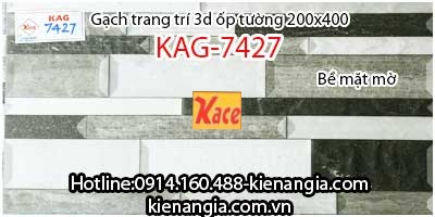 Gạch 3d mờ trang trí ốp tường 20x40 KAG-7427