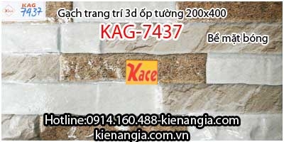 Gạch 3D bóng trang trí ốp tường 200x400 KAG-7347