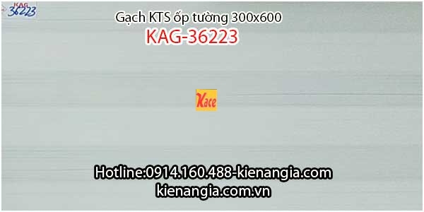 Gạch ốp tường phòng khách rẻ đẹp 30x60 KAG-36223