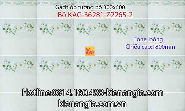 Gạch ốp tường 300x600 Bộ KAG-36281-Z2265-2