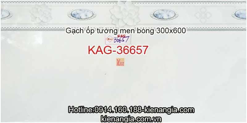 Gạch ốp tường 30x60 KAG-36657