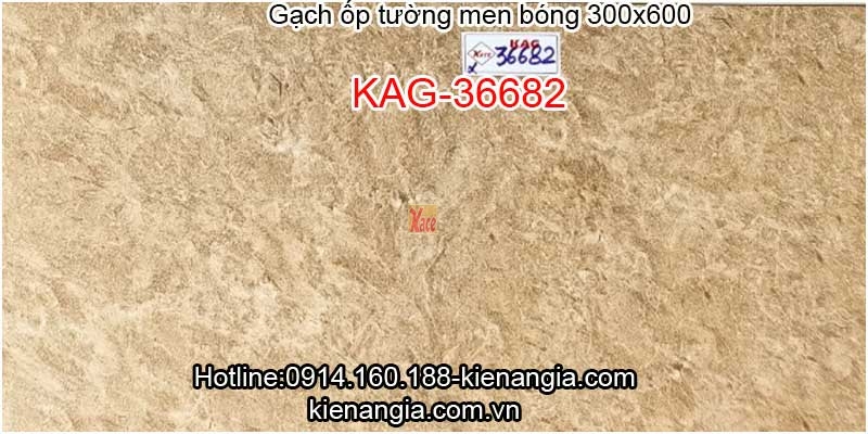 Gạch ốp tường 30x60 KAG-36682