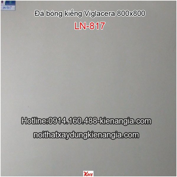 Đá bóng kiếng 800x800 Viglacera DN817