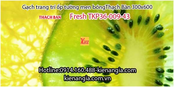 Gạch men bóng Thạch Bàn trang trí TKP36-009-43