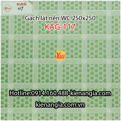 Gạch men lát WC giá rẻ 25x25 KAG-117