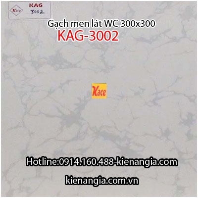 Gạch men lát WC không trơn 30x30 KAG-3002