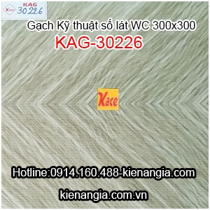 Gạch KTS lát WC 300X300-KAG-30226