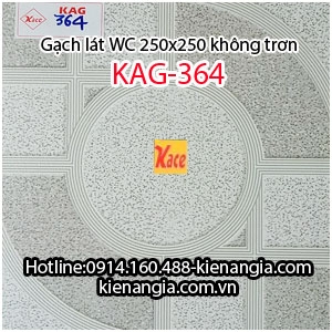 Gạch lát  nhà tắm wc rẻ mới 2017 25x25 KAG-364