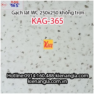 Gạch lát  nhà tắm wc rẻ mới 2017 25x25 KAG-365