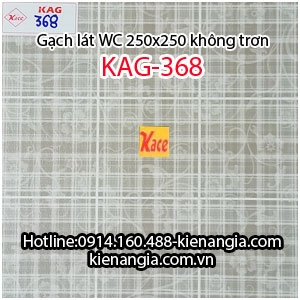 Gạch lát  nhà tắm wc rẻ mới 2017 25x25 KAG-368