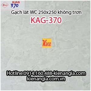 Gạch lát  nhà tắm wc rẻ mới 2017 25x25 KAG-370