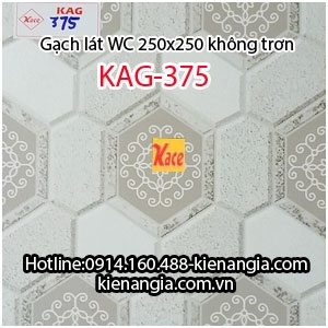 Gạch lát  nhà tắm wc rẻ mới 2017 25x25 KAG-375