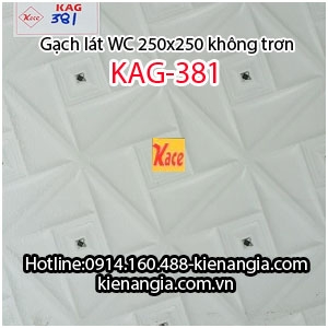 Gạch lát  nhà tắm wc rẻ mới 2017 25x25 KAG-381