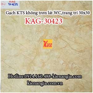 Gạch men in KTS lát nền WC 30x30 KAG-30423