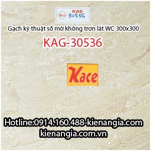 Gạch không trơn lát WC 300x300 KAG-30536