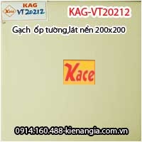 Gạch ốp tường,lát nền 200x200 KAG-VT20212