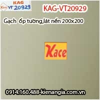 Gạch ốp tường,lát nền 200x200 KAG-VT20929