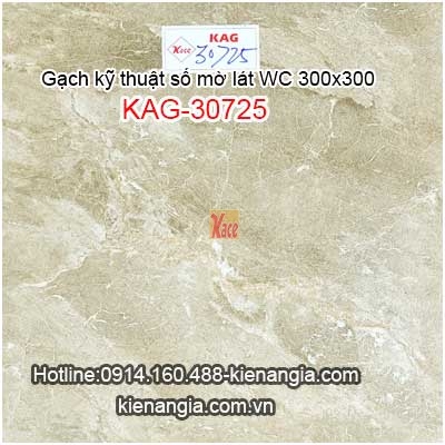 Gạch kỹ thuật số mờ 30x30 lát WC KAG-30725