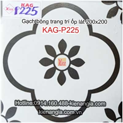 Gạch bông trang trí ốp lát phòng tắm 20x20 KAG-P225