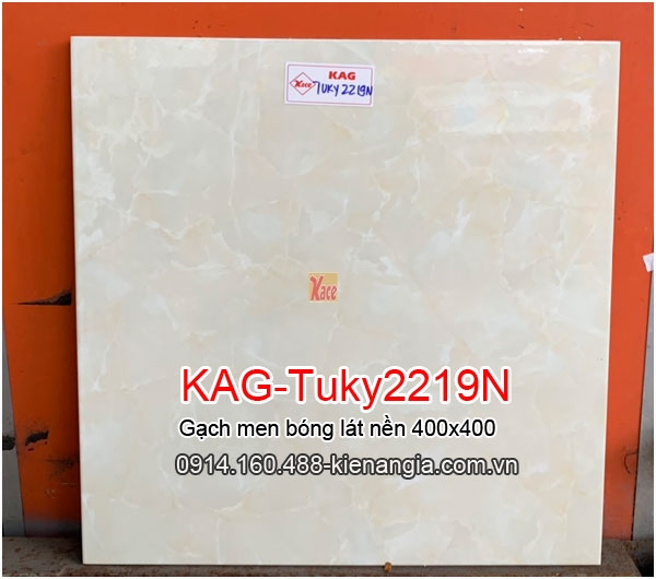 Gạch men bóng lát nền giá rẻ 40x40 KAG-Tuky2219N