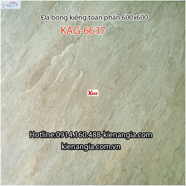 Đá bóng kiếng toàn phần 60x60 KAG-6637