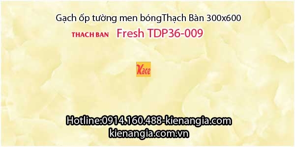 Gạch men bóng Thạch Bàn ốp tường TDP36-009