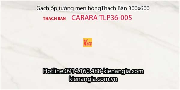 Gạch men bóng Thạch bàn CARARA 30x60 TLP36-005