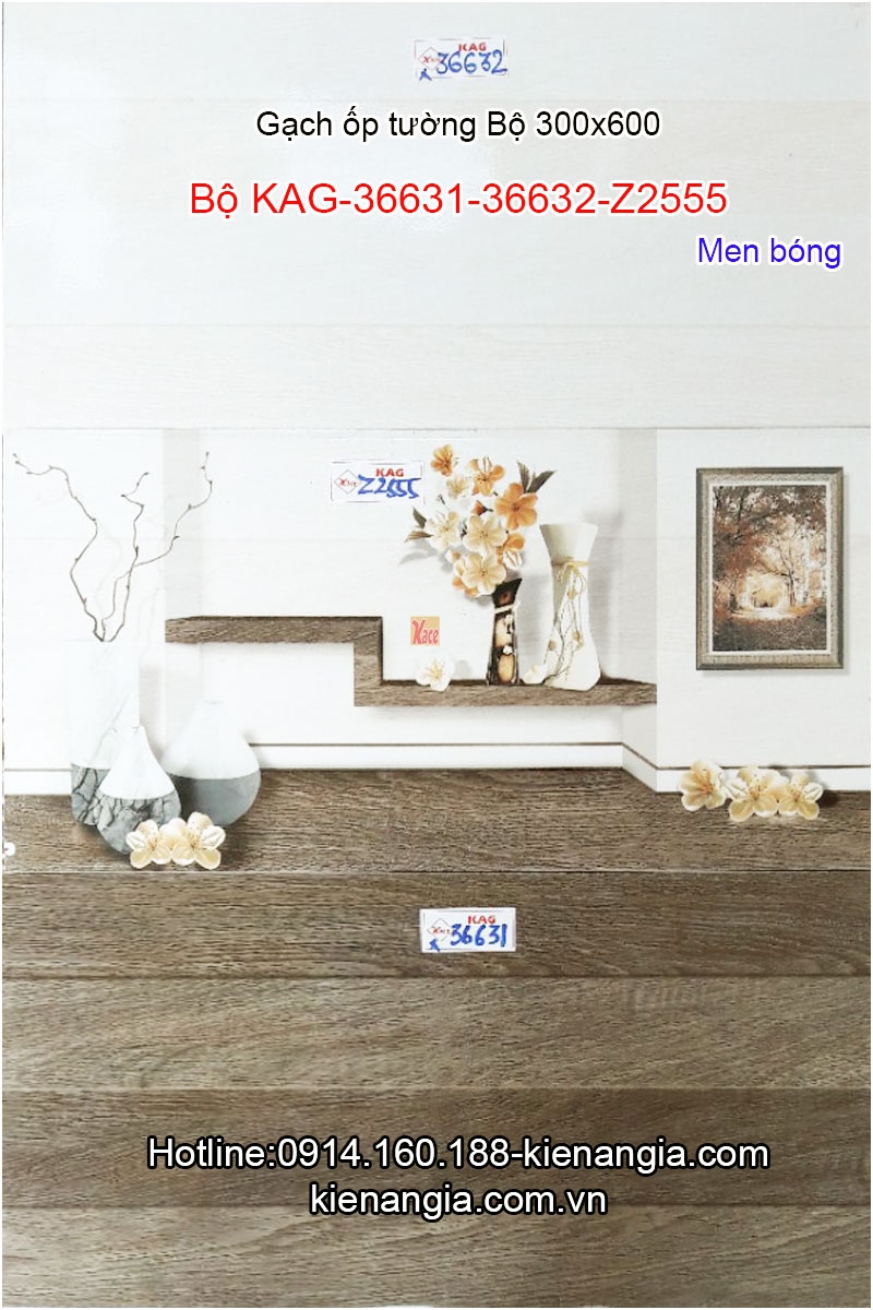 Gạch men bóng ốp tường phòng ăn 30x60 Bộ KAG-36631-36632-Z2555