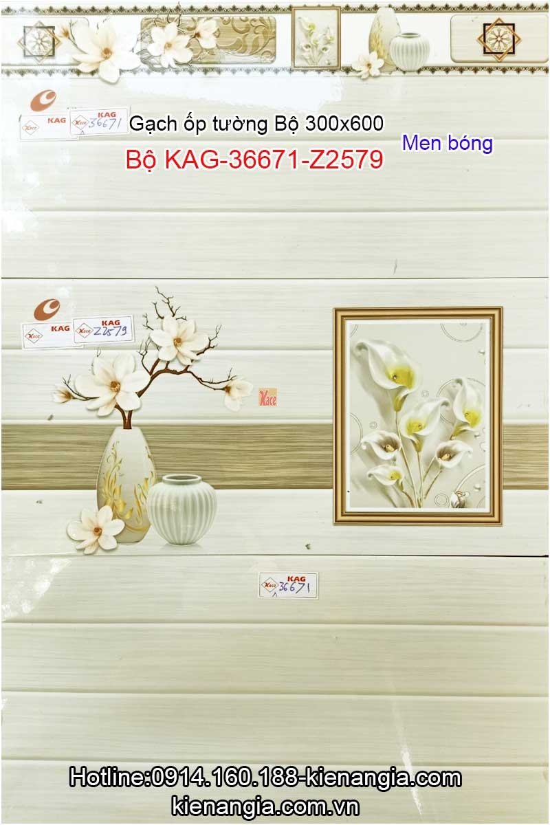 Gạch ốp tường nhà cho thuê 30x60 Bộ KAG-36671-Z2579