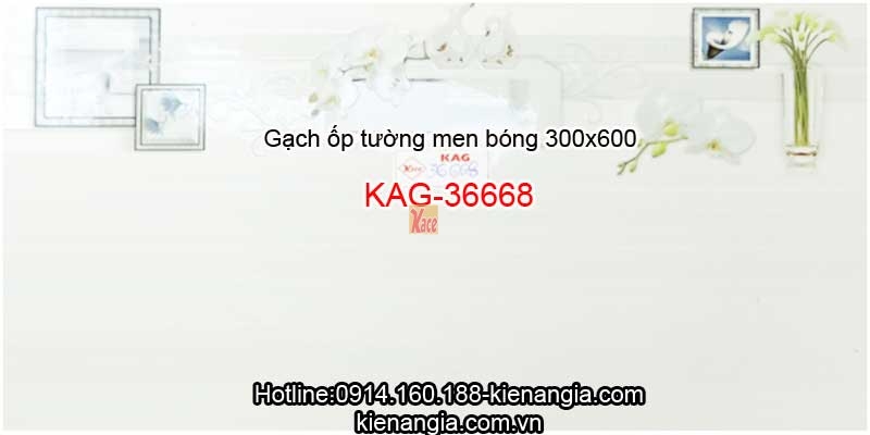 Gạch ốp tường phòng khách 30x60 KAG-36668