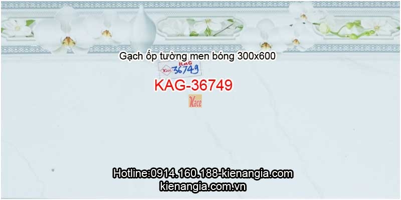 Gạch ốp tường men bóng 300x600 mẫu 2019 giá rẻ KAG-36749