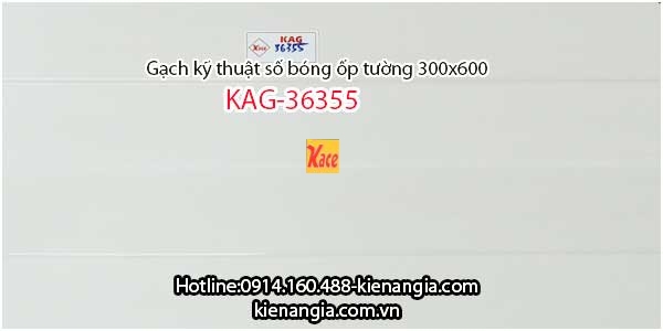 Gạch KTS tone bóng ốp tường 30x60 KAG-36355