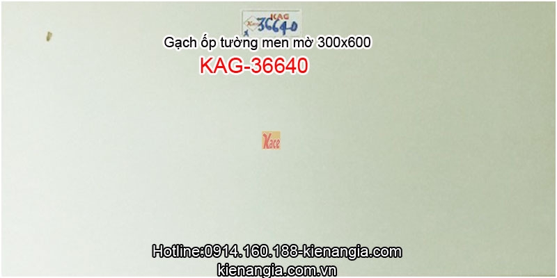 Gạch ốp tường khách sạn men mờ 30x60 KAG-36640