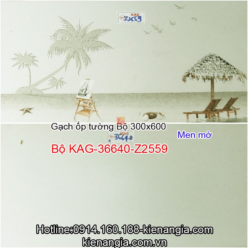 Gạch men bóng ốp tường 30x60 Bộ KAG-36640-Z2559