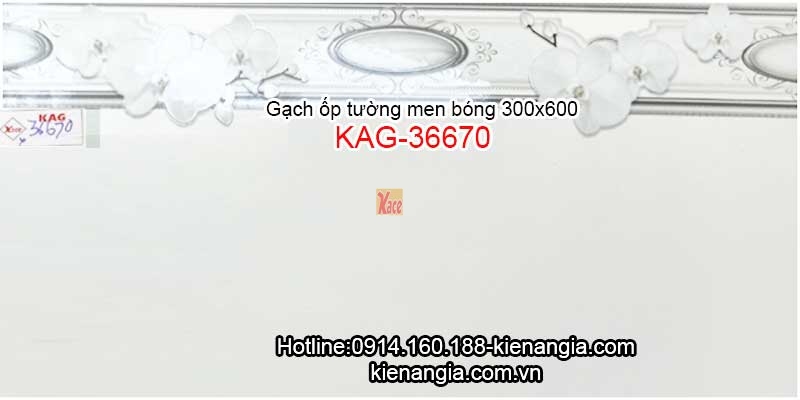 Gạch ốp tường khách sạn 30x60 KAG-36670